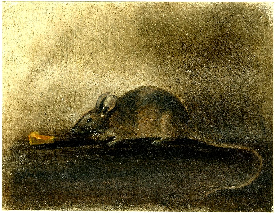 Constable - A mouse with a piece of cheese. 1824, 1907,1018.46