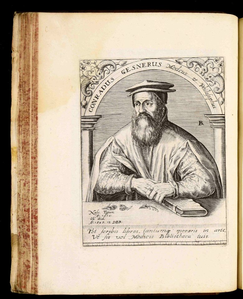 Conrad Gessner