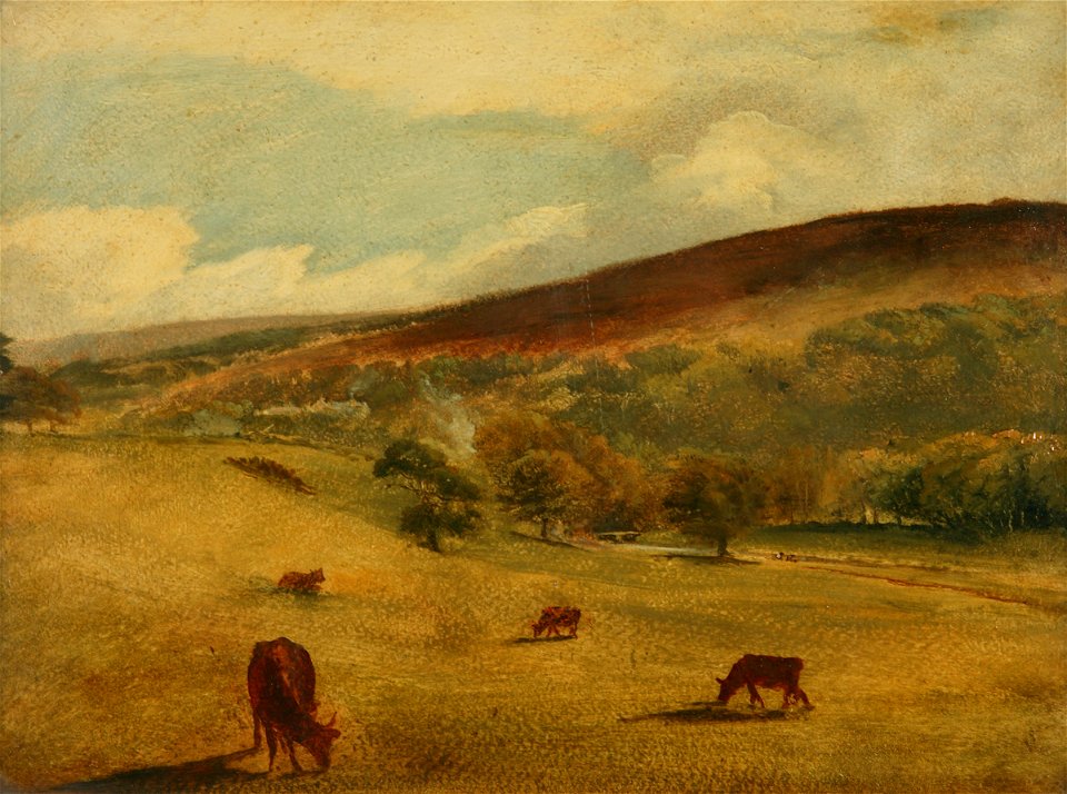 Constable - (follower of) - South Downs, 1931.22