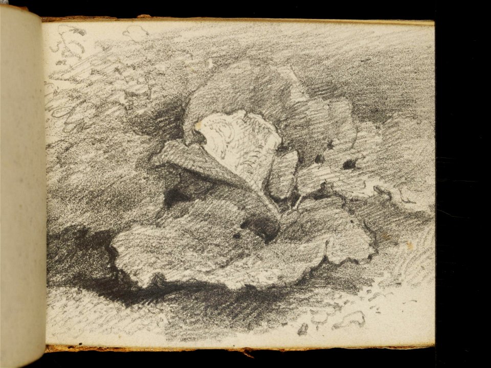 Constable - 1259-1888, 2010EH2759