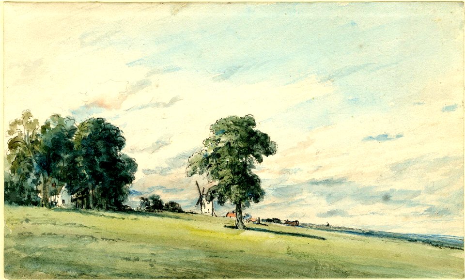 Constable - Landscape with tree in centre, windmill at rear, 1910,0212.232
