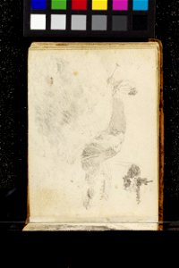 Constable - 1259-1888, 2006AG5743