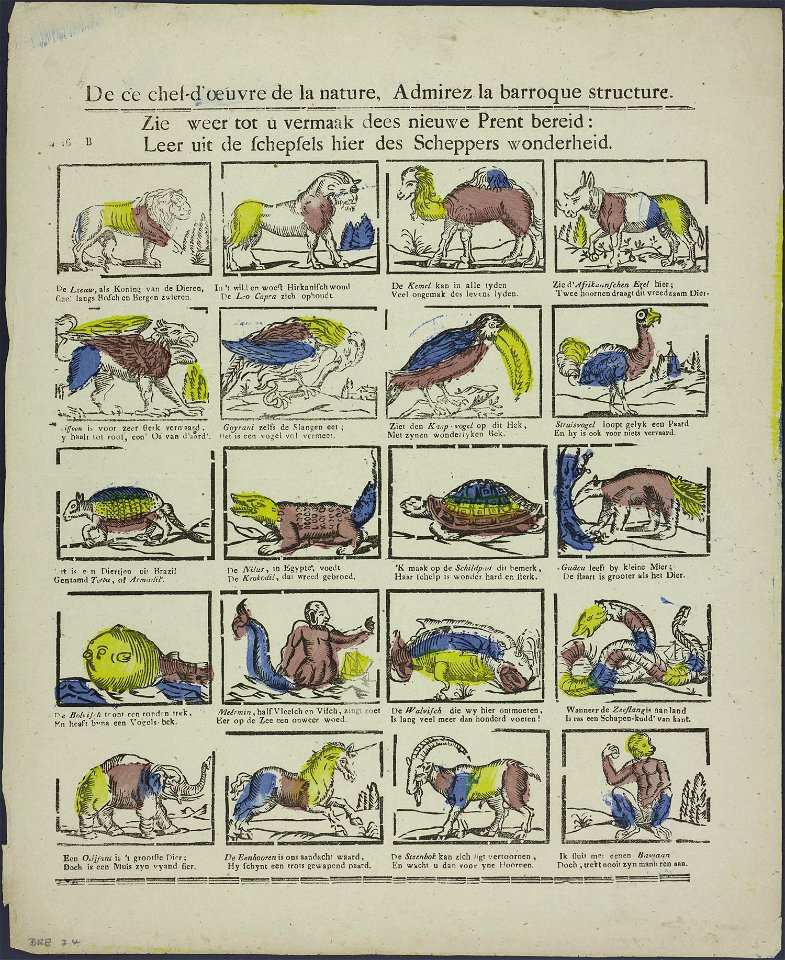 De ce chef-d'oeuvre de la nature-Catchpenny print-Borms 0168