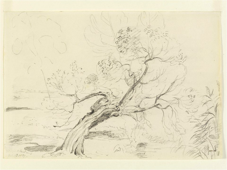 Constable - A willow tree in Flatford Meadows, 837-1888