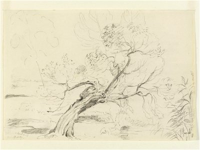 Constable - A willow tree in Flatford Meadows, 837-1888