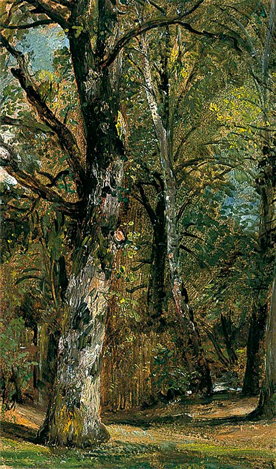 Constable - Avenue of Trees, R.1916-12