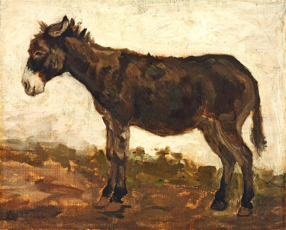 Constable - A study of a donkey, 5334198