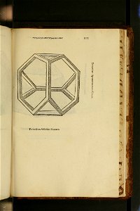 De divina proportione - Illustration 39