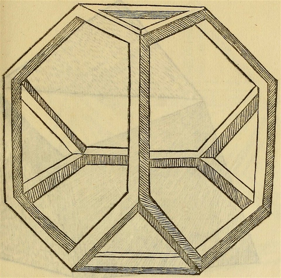 De divina proportione - Tetraedron Abscisum Vacuum