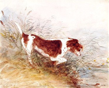 Constable - A dog watching a rat in the water at Dedham, 235-1888