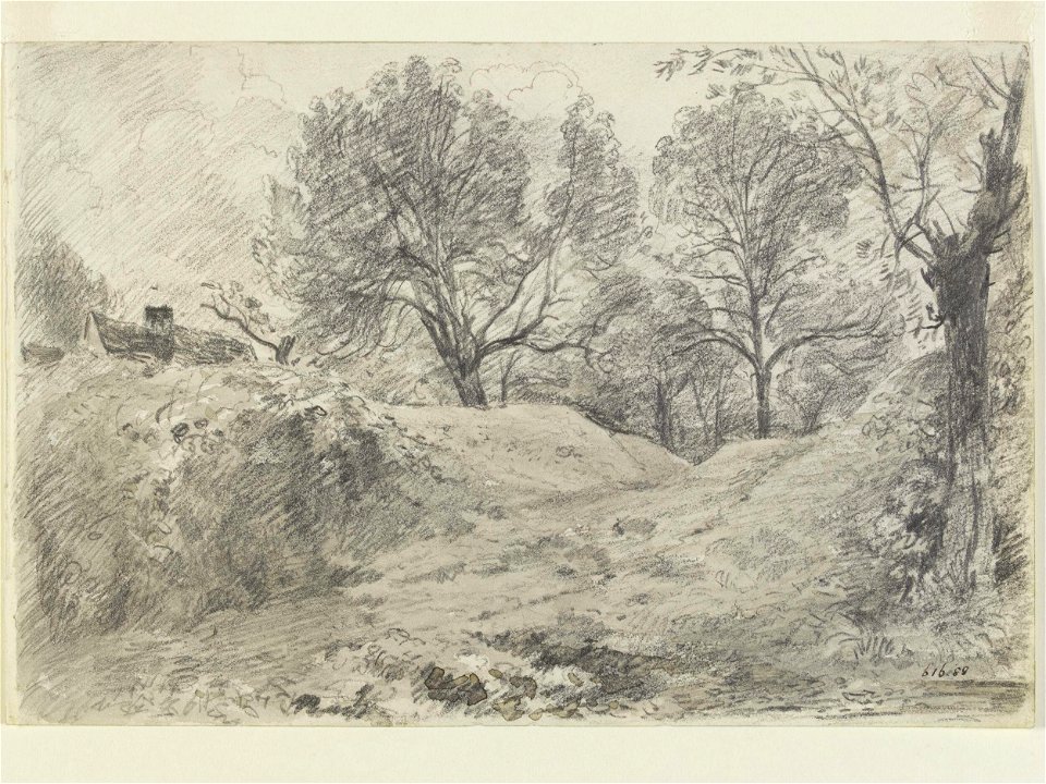 Constable - A group of trees on broken ground, 616-1888