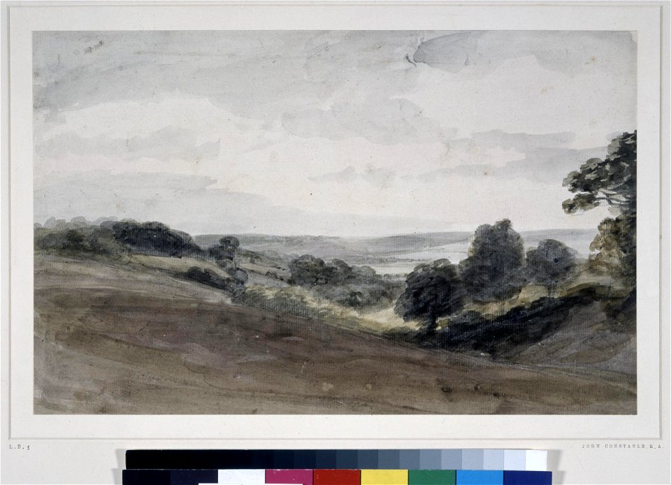 Constable - Dedham Vale, 1875,0814.1438