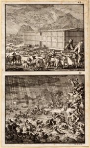 De dieren lopen in paren de ark van Noach op, De zondvloed, objectnr A 48124