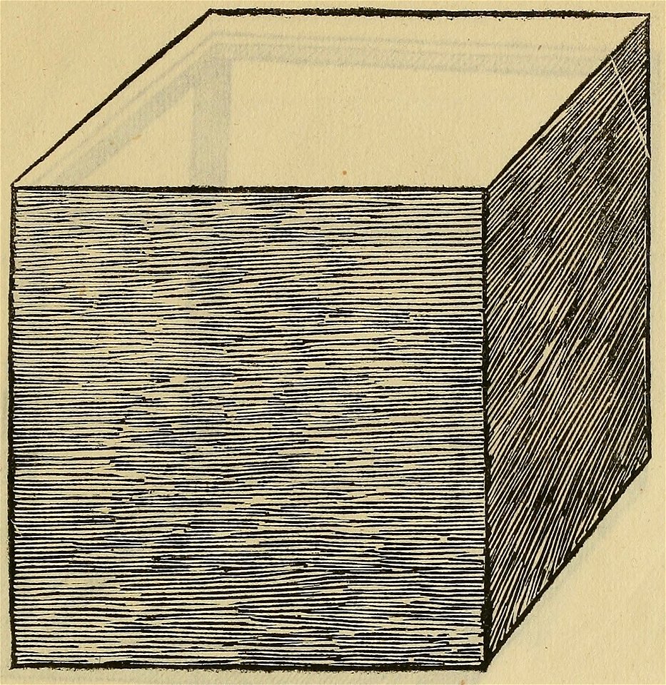 De divina proportione - Hexaedron Sive Cubus Planum Solidum