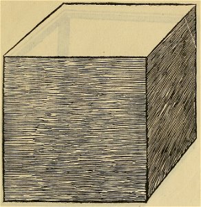 De divina proportione - Hexaedron Sive Cubus Planum Solidum