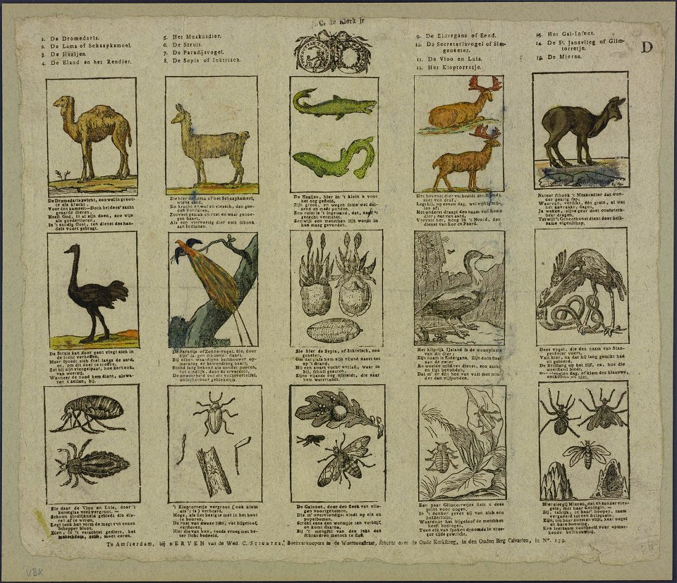 De dromedaris. De lama of schaapkameel. De haaijen-Catchpenny print-Borms 0898