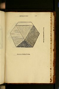 De divina proportione - Illustration 34