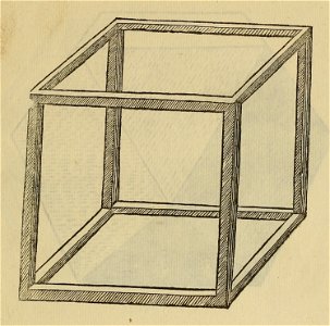 De divina proportione - Illustration 35, crop