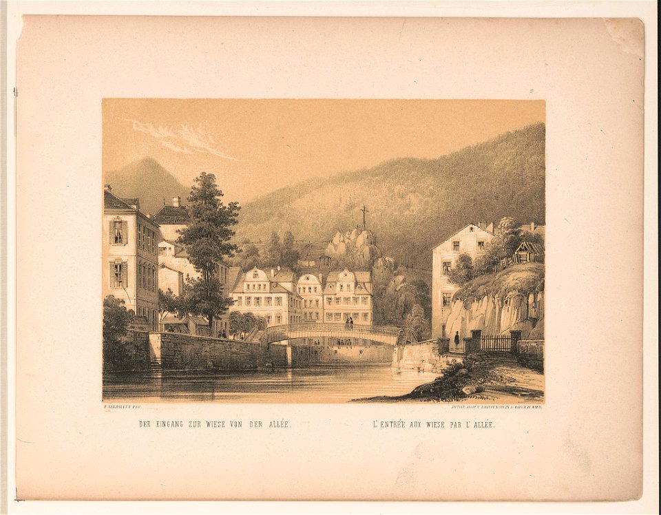 Der Eingang zur Wiese von der Allée L' Entrée aux Wiese par l' Allée - - X. Sandmann fec. ; artist Anst. v. Reiffenstein & Rösch in Wien. LCCN2017650441