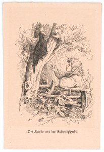 Der Knabe und der Schwarzspecht - Allanson sc. LCCN2017658536