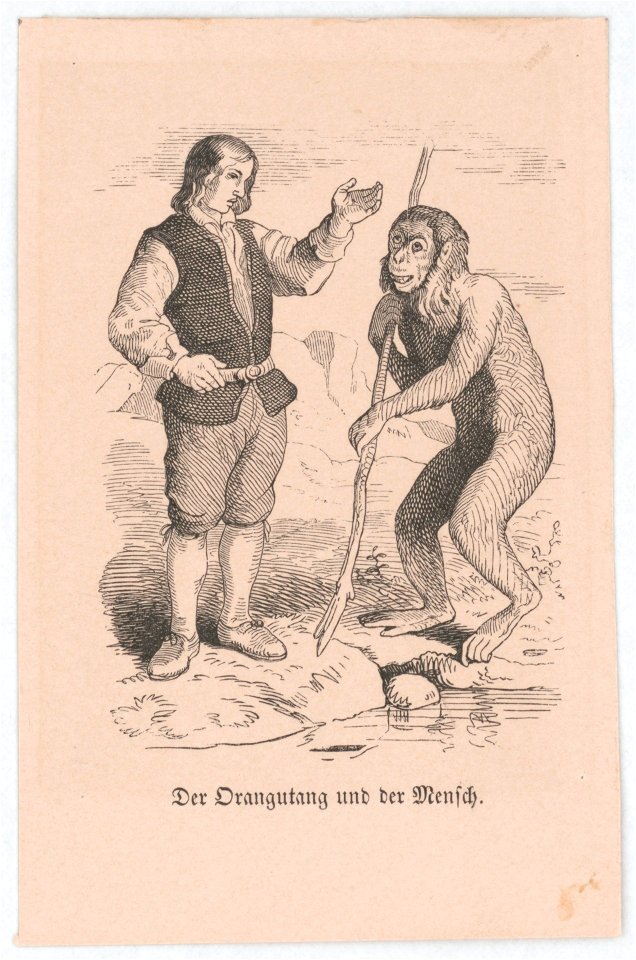 Der Orangutang und der Mensch LCCN2017658539