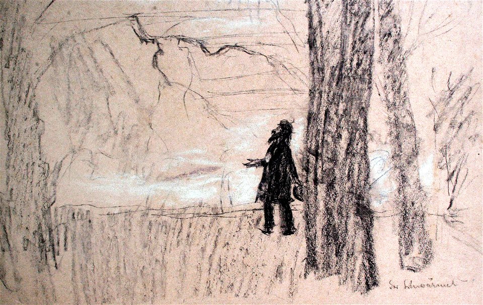 Der Schmarotzer