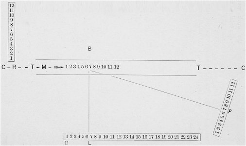 Descriptive Zoopraxography 028