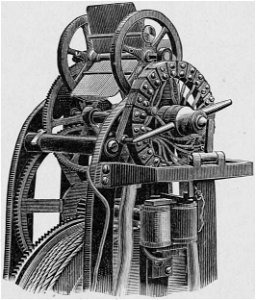 Descriptive Zoopraxography 039b