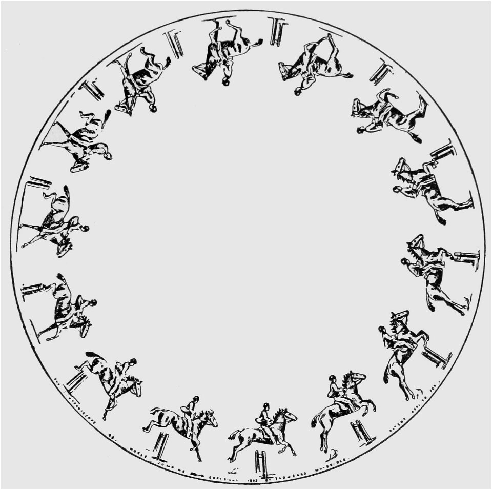 Descriptive Zoopraxography Horse Jumping