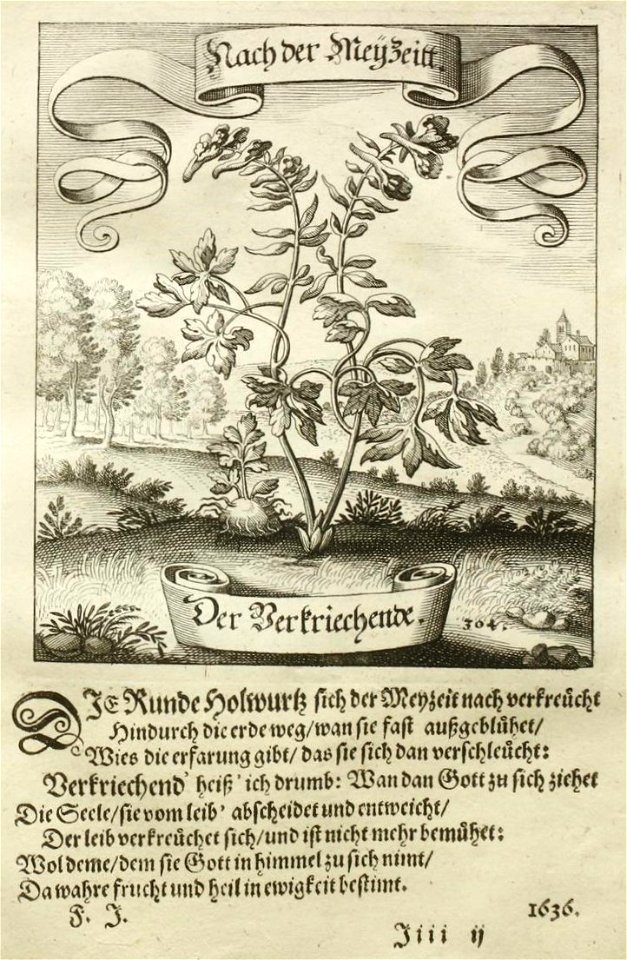 Der Verkriechende