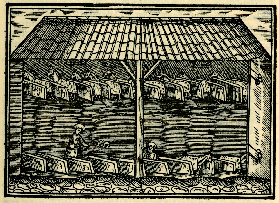 Des Sultans Marstall - Schweigger Salomon - 1608