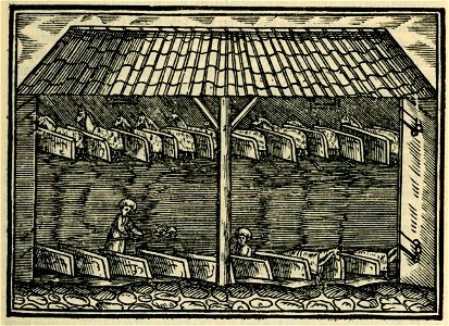Des Sultans Marstall - Schweigger Salomon - 1608