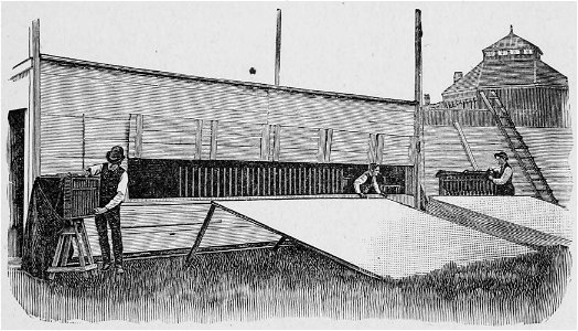 Descriptive Zoopraxography 033
