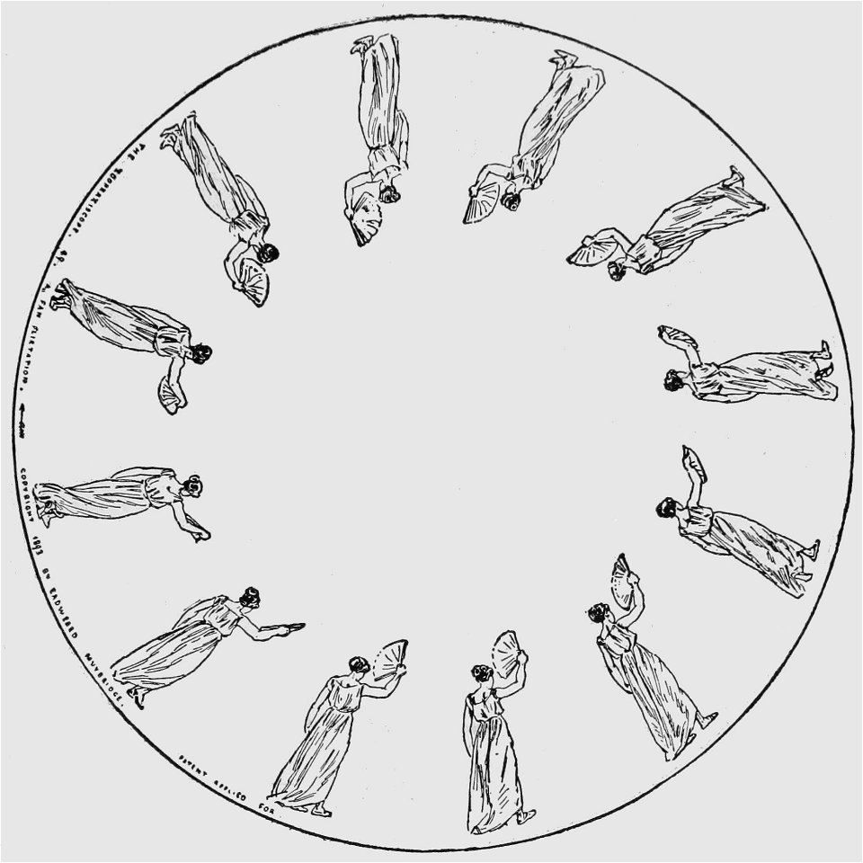 Descriptive Zoopraxography A Fan Flirtation