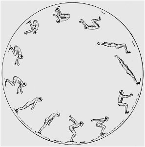 Descriptive Zoopraxography Athlete, Standing Long Jump