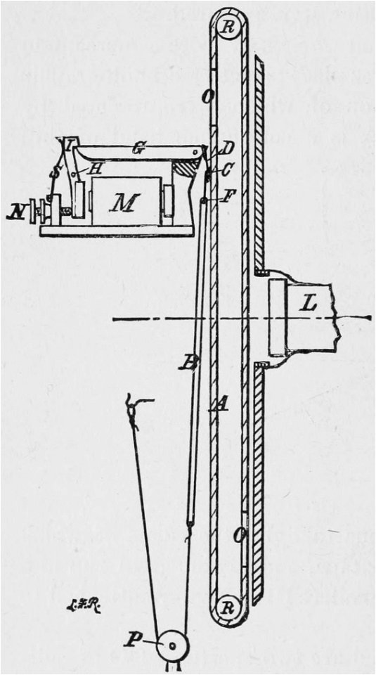 Descriptive Zoopraxography 034