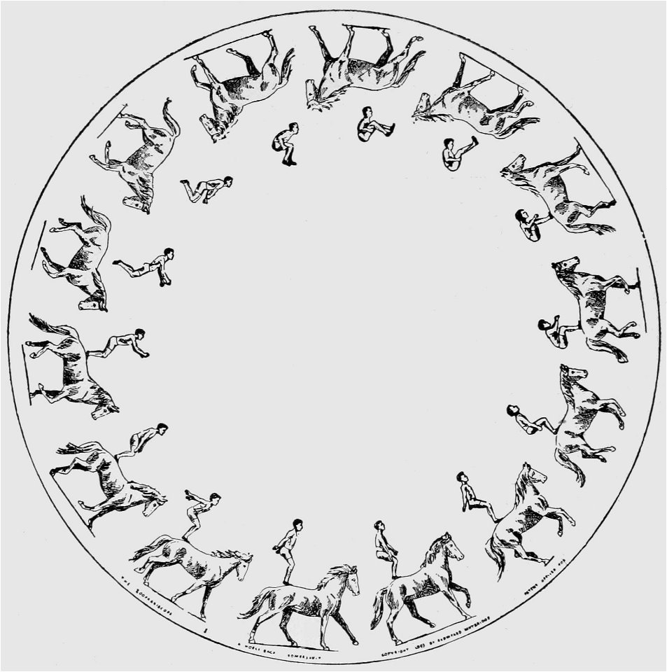 Descriptive Zoopraxography Athlete, Horse-back Somersault