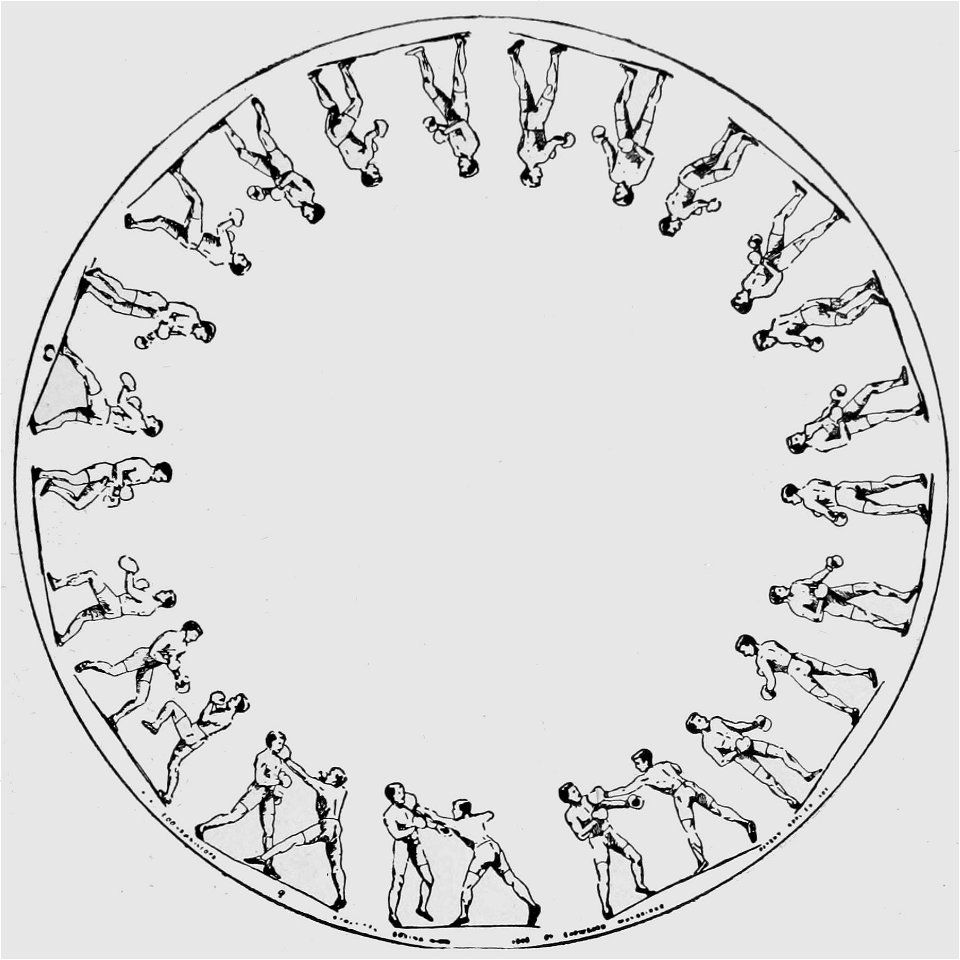 Descriptive Zoopraxography Athletes Boxing