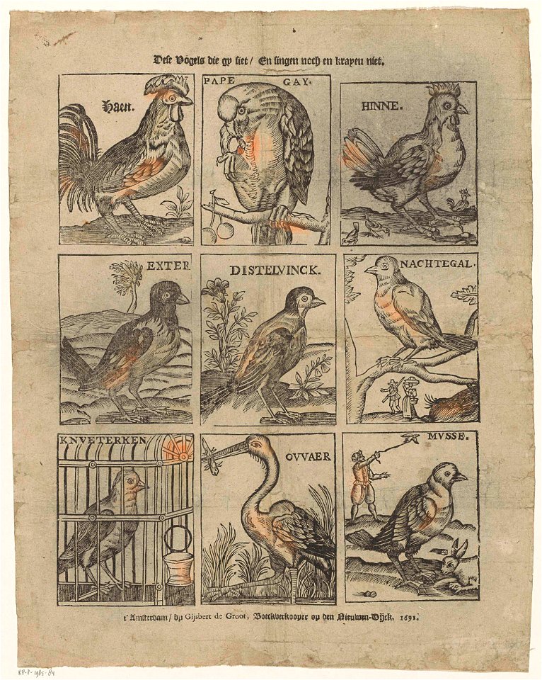Dese vogels die gy siet - En singen noch krayen niet