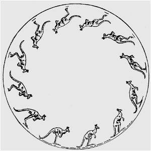 Descriptive Zoopraxography Kangaroo Jumping