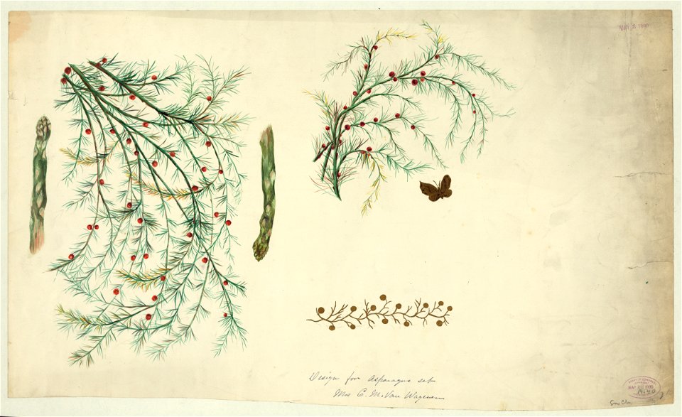 Design for asparagus set LCCN2004662404