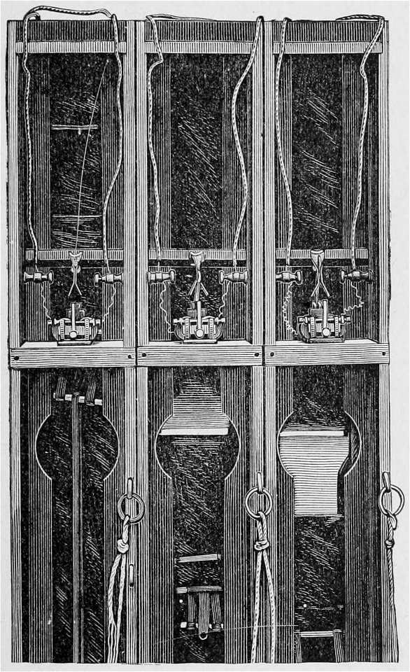 Descriptive Zoopraxography 035