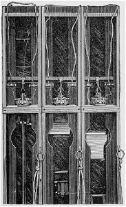 Descriptive Zoopraxography 035