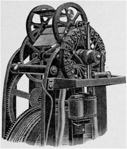 Descriptive Zoopraxography 039a