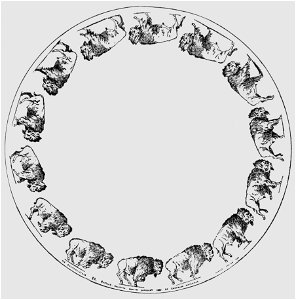 Descriptive Zoopraxography Buffalo Galloping