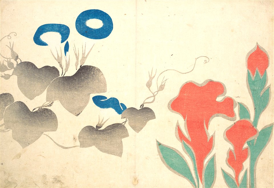 Design of Morning–glory and Other Flowers