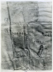 Detail kaart met heerd Oosterhuizen bij Eenrum, vervaardigd door Claes Harmens (1631)