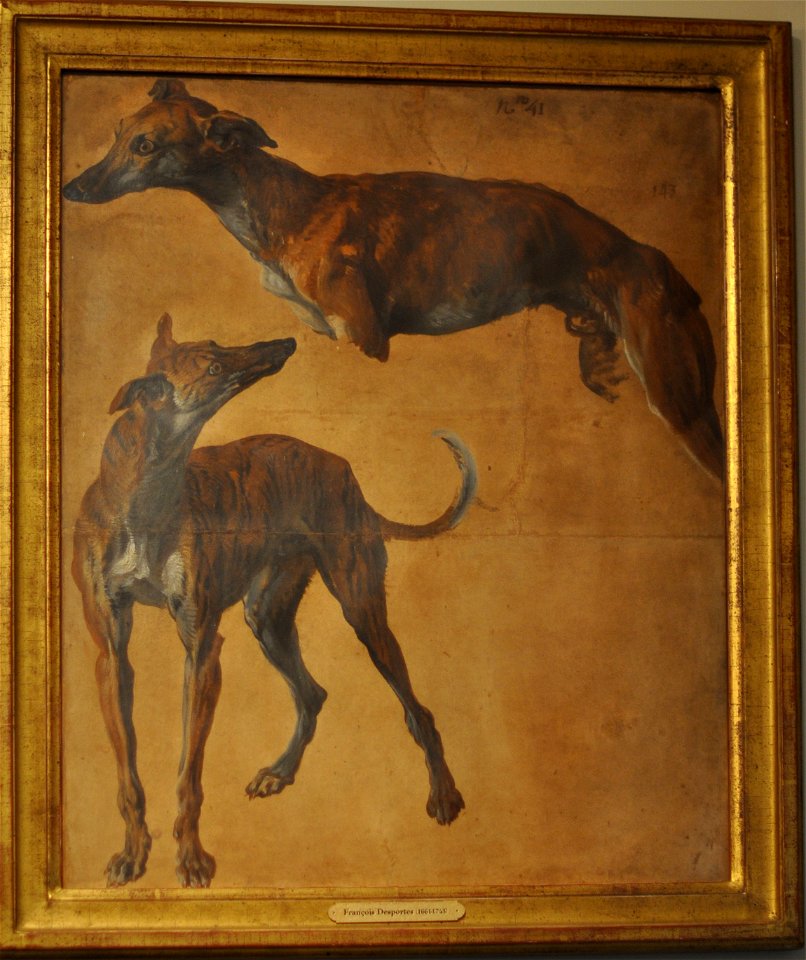 Desportes Study of greyhounds Musee de la Chasse et de la Nature