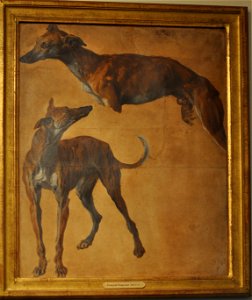 Desportes Study of greyhounds Musee de la Chasse et de la Nature