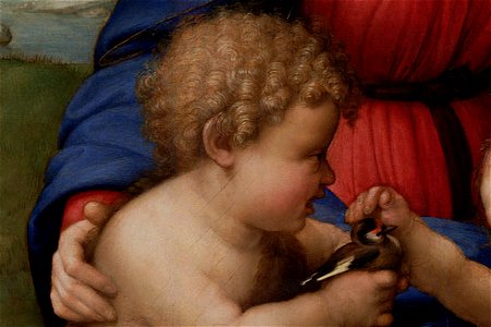 Detail Madonna del Cardellino
